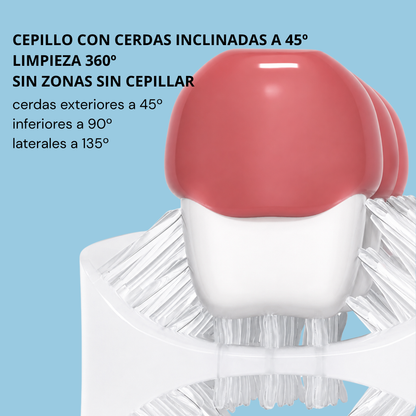 CEPILLO DE DIENTES 360